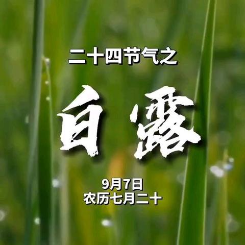 凉风送秋始 白露为霜寒 | 大化幼儿园大班节气活动