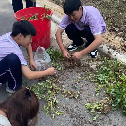 劳动收获，劳动最美——记建安中学劳动实践活动