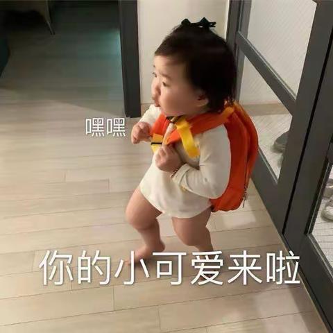 中二班一周回顾🥳