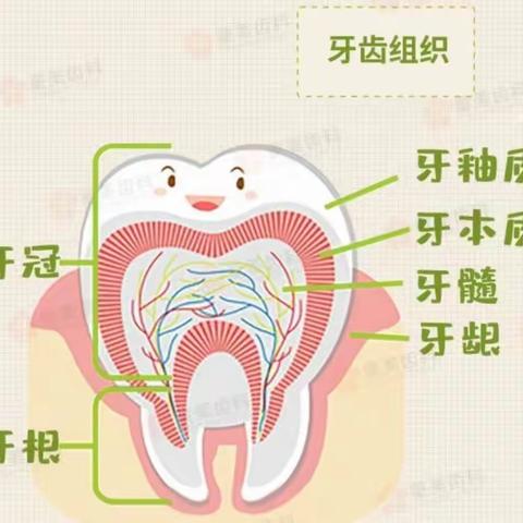 【博雅幼儿园方老师】密云区博雅幼儿园大一班    爱牙从“齿”开始