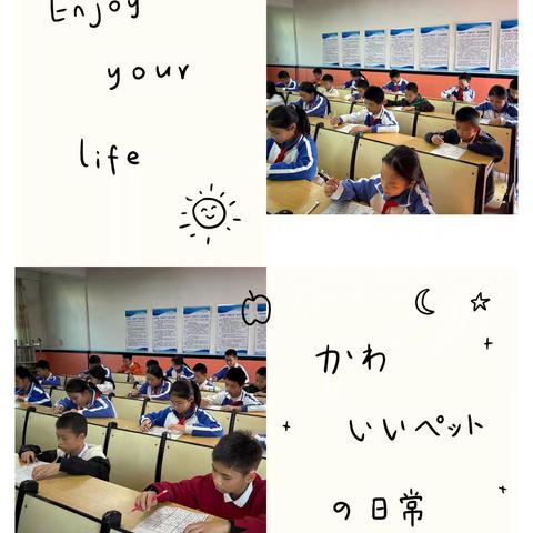 五六年级数独竞赛：逻辑与趣味的思维盛宴 坪西学校