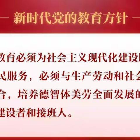 助力“双减”政策，丰富校园生活