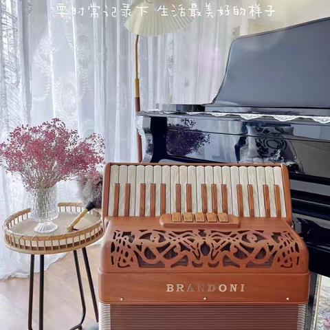 文化里小学手风琴社团