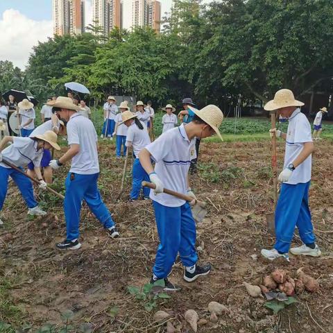 省劳动教育骨干教师培训完满结束