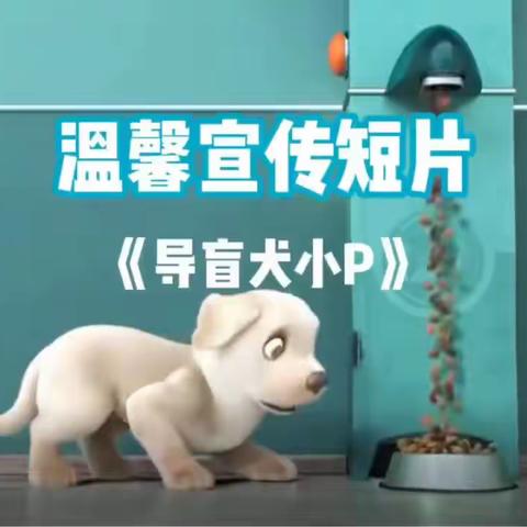 法宝乐高课堂11.15（电子小狗）