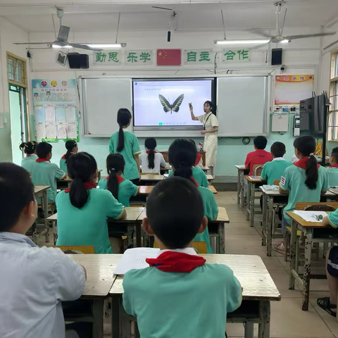 悟对称之美 享数学之乐 ——记《学科素养下的小学数学典型课例实践研究》活动