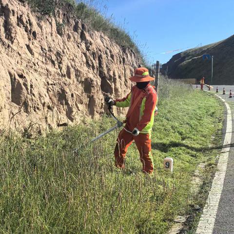 清杂草整路肩 扮靓公路“颜值”