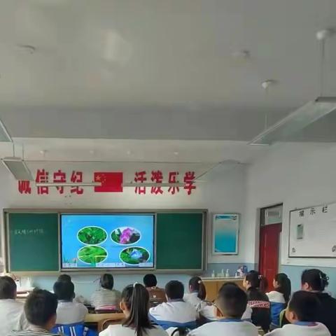 知一镇小学教科研活动—青年教师展示课