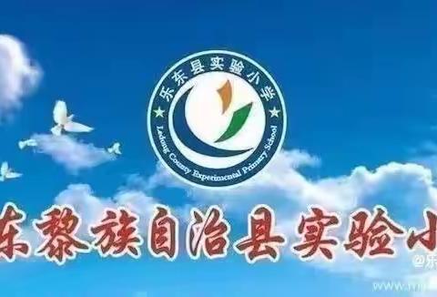 乐东黎族自治县实验小学美术组观看人教云教研活动