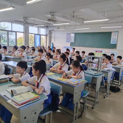 五1班学期总结