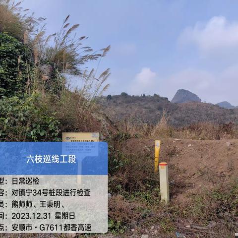 六六支线六枝巡线工段在2023年12月31日的巡检情况！