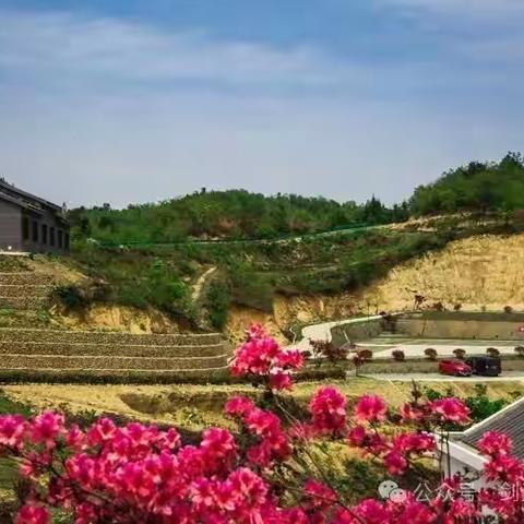 孝感开心户外俱乐部 4月20日(周六)赏四月最美杜鹃花海   黄狮寨休闲  亲子一日游