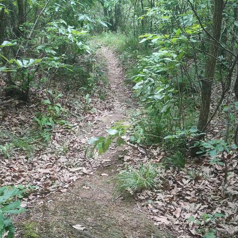 【孝感开心户外】4月27日（ 星期六）孝昌(龙传岩)徒步、攀爬、偶遇杜鹃花，体验大板攀爬，试胆刀片石，打卡、摄影一日游