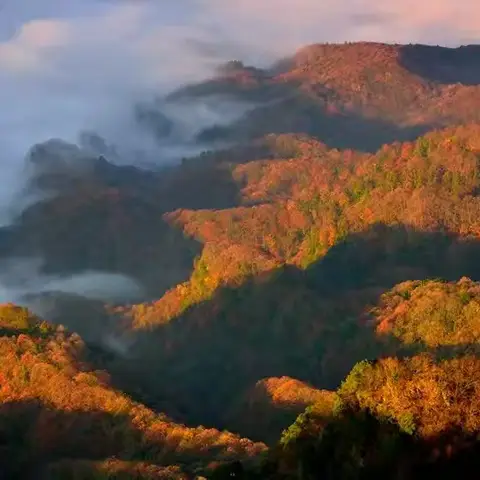 10.24-10.27【秦巴秋色】汉中黎坪/光雾山，中国红叶第一山+秦岭彩林盛宴/留坝 相约秦巴 【孝感开心户外俱乐部】