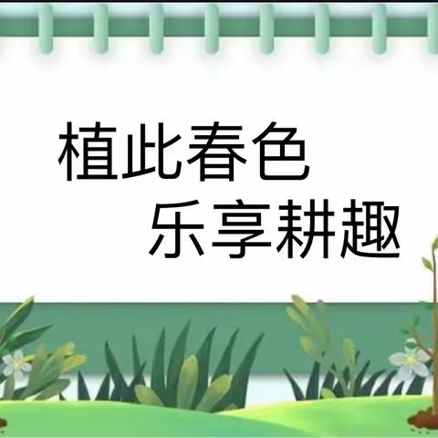 “植此春色，乐享耕趣”—尼山镇中心幼儿园王笑