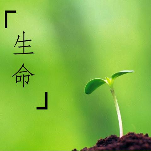 暖夏如歌的简篇