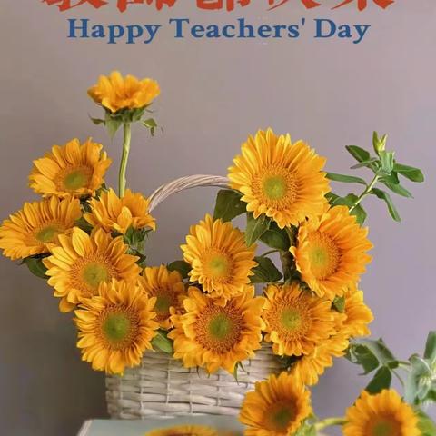 枫叶🍁刘老师的简篇