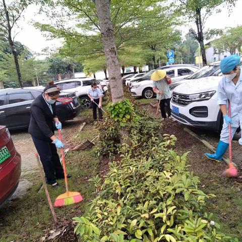 海南西部中心医院爱国卫生运动与登革热工作记录