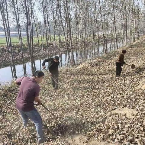 柴堡镇:共同呵护美丽家园，打扫河渠环境卫生。