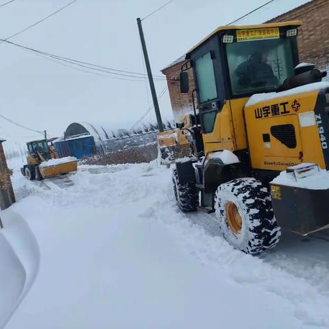 柴堡镇:大雪低温天气坚决做好村庄清洁行动。