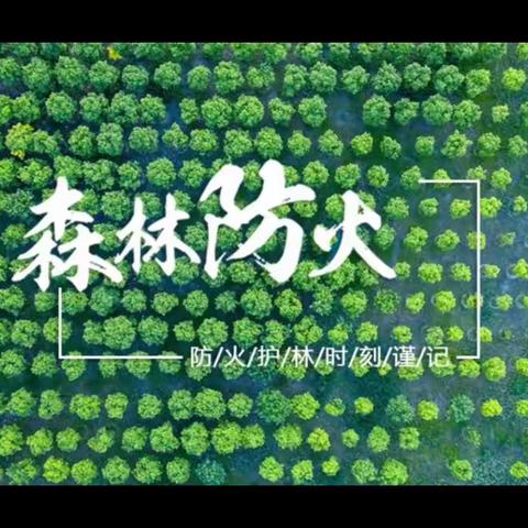 防火不放松  检查不间断