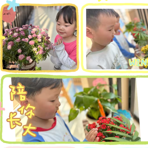 🌷“幼”见春日，“悦”享春色🪁小三班三月主题活动美篇