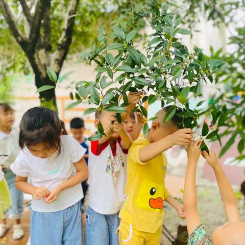 【班级动态】遇见桂花   邂逅秋天—胥幼中三班