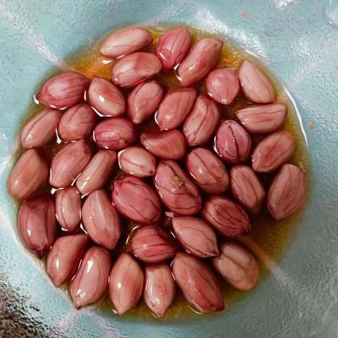 语文趣味课堂之——观察植物成长