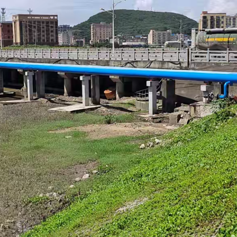 松下镇河长办邀请区人大代表、政协委员共同开展巡河护河活动