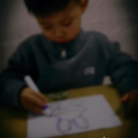 11月周周活动 ‍