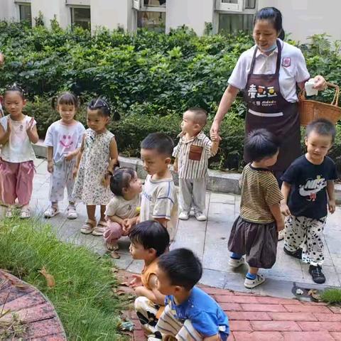 麦豆豆三千城幼儿园萌三班 （9月9－9月14）周总结