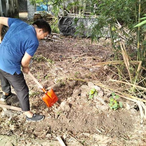 东头村委会开展人居环境卫生整治