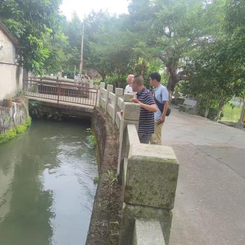 2025年凤城镇第七次“河长日”巡河