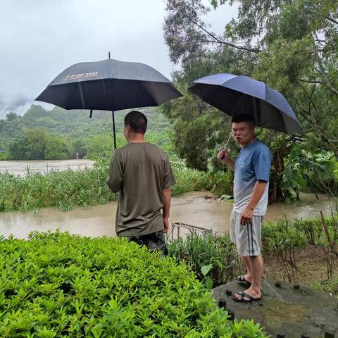 2025年凤城镇第八次“河长日”巡河