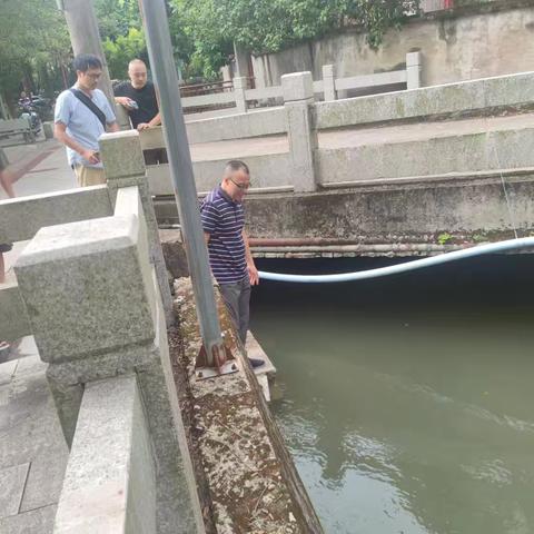 2025年凤城镇第九次“河长日”巡河