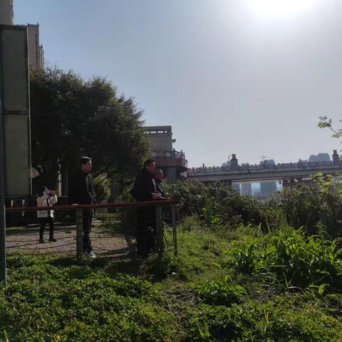 2026年凤城镇第二次“河长日”巡河活动