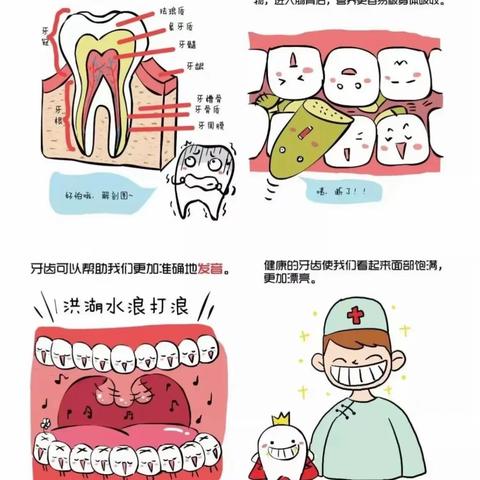 牙牙乐——探寻牙齿的秘密🦷