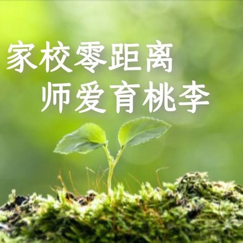 携手共育，共筑未来——儋州市第三中学初一年级第一学期家访纪实