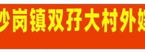 沙岗镇双孖大村首届外嫁女集体回娘家聚会活动主题方案