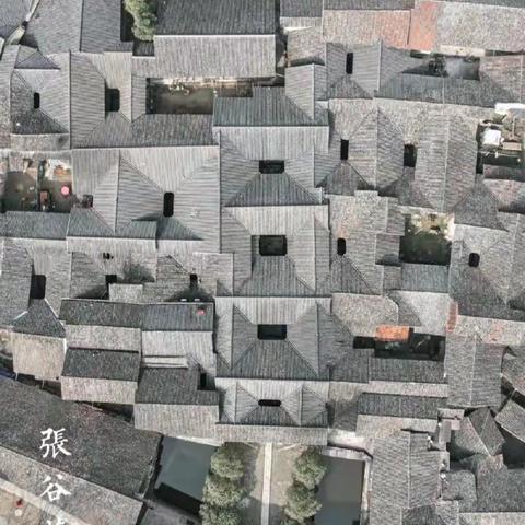 XYM丨写生张谷英—历史，文化与美育