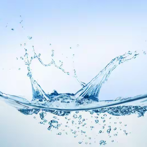 携手美龄范，抢占创业先机，激发无限可能