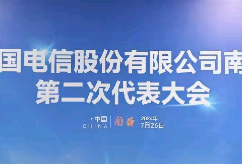 共青团中国电信南昌分公司第二次代表大会顺利召开