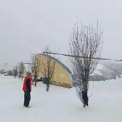 迎风战雪，防寒抗冻——章丘区农业农村局做好积极应对极端天气工作