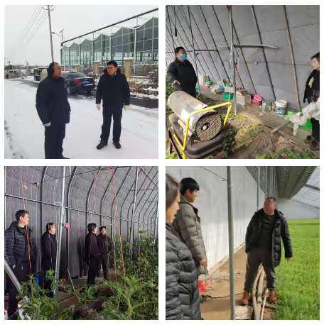 区农业农村局持续做好极端天气应对工作