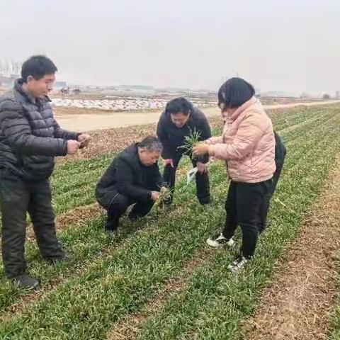 春回大地草木知，万象“耕”新人倍忙