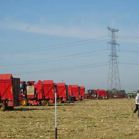 金风卷麦浪，秋收比武时 章丘区举行举行全省玉米机收减损技能大比武