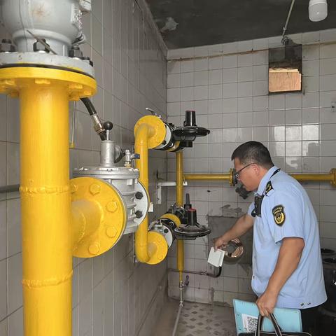 廊坊市大厂回族自治县夏垫镇9月15日臭氧污染防控情况