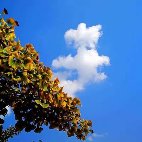 践行课标理念 发展核心素养 提升课堂教学效益——北垣小学公主府校区迎接市级视导活动