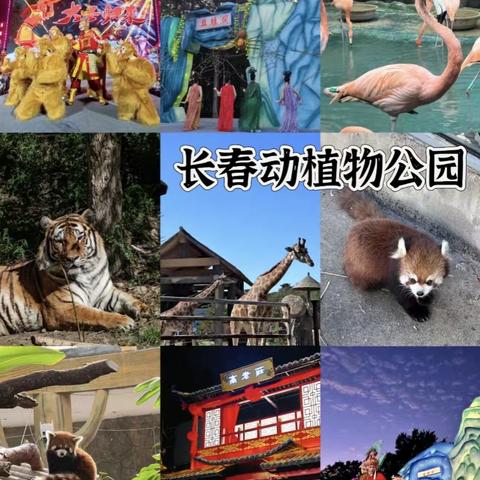 启航暑假～长白山科考研学营 ‍天池探秘 森林骑行 魔界漂流  ‍驯鹿部落 丛林越野 科馆游学 ‍五天四夜 启航长白山自然课堂