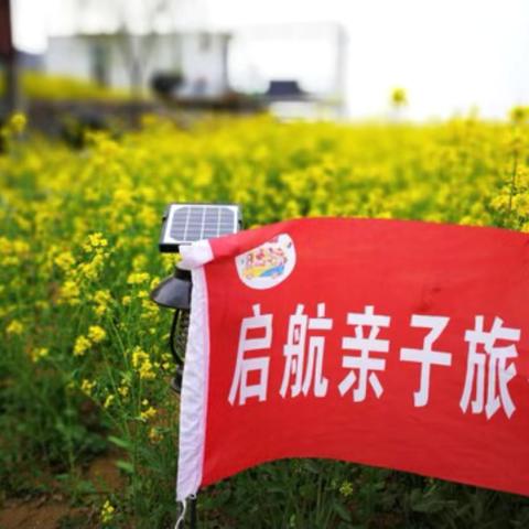 烟花三月下扬州 千垛油菜盛花开 ‍泰州•扬州🌼启航赏花两日亲子游 ‍   烟花三月•只此江南 ‍